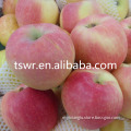 /msite/products/detail/productid/59942150/id/542998.html